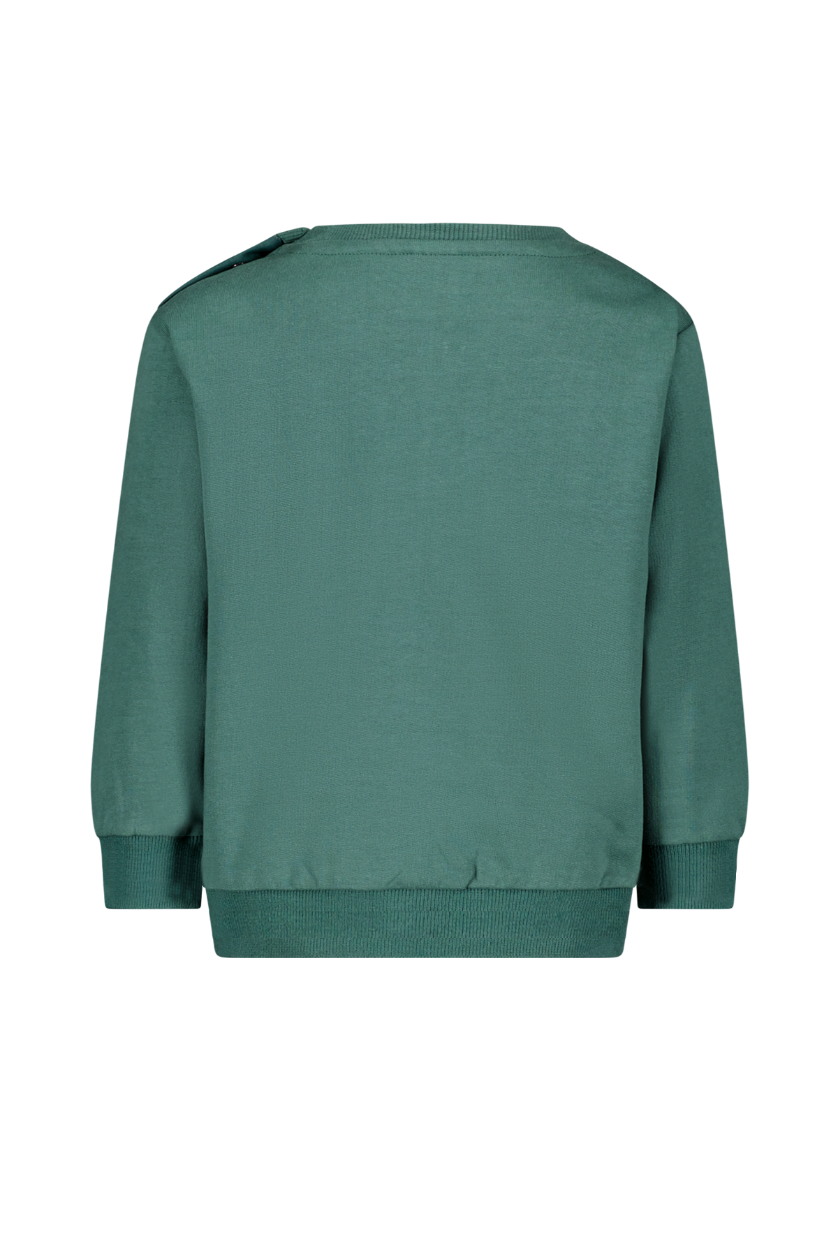 Mini Scott Sweater Groen
