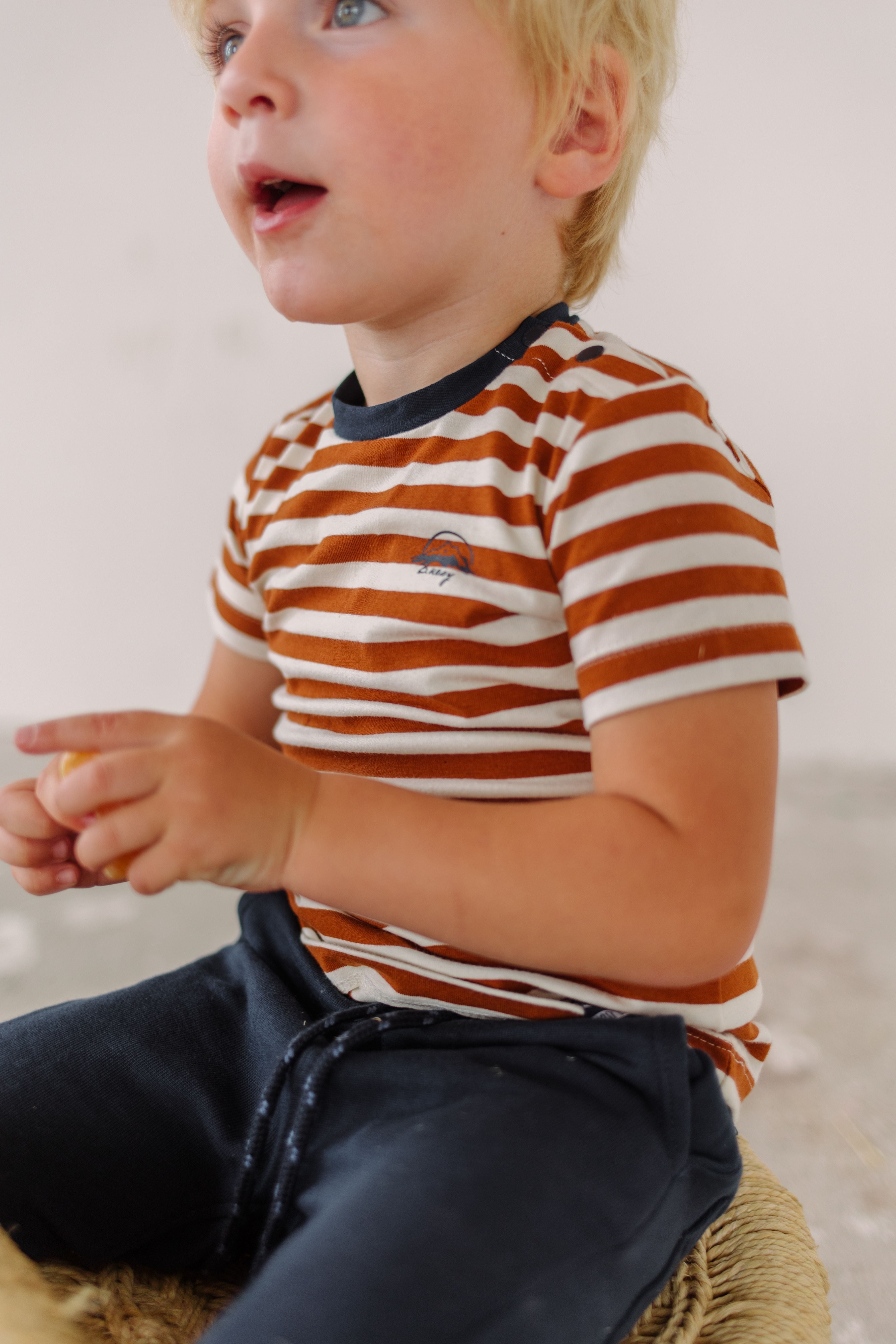 Mini boys YDS t-shirt w/ small print on chest