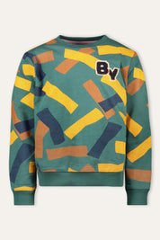 Scott Sweater Print Groen
