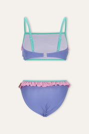 Bikini Whitney Paars