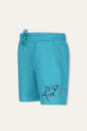 Will Zwembroek Blauw