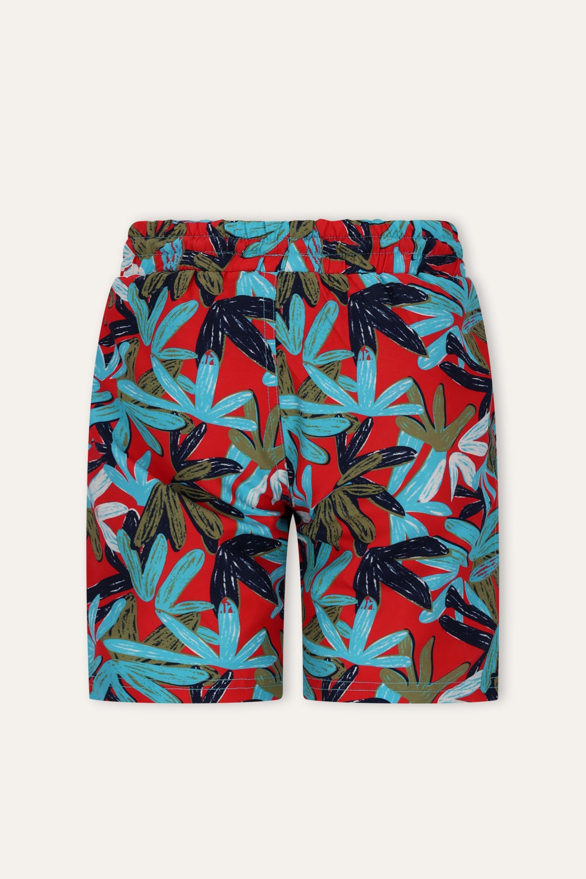 Will Zwembroek Leaves