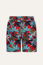 Will Zwembroek Leaves