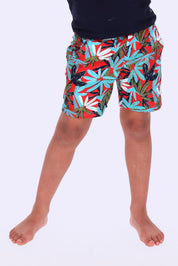 Will Zwembroek Leaves