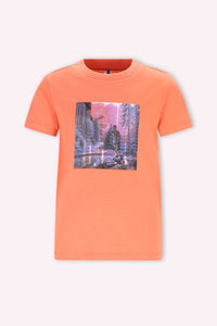 Timmy T-Shirt orangefarbener Flamingo - Flamingo / 98