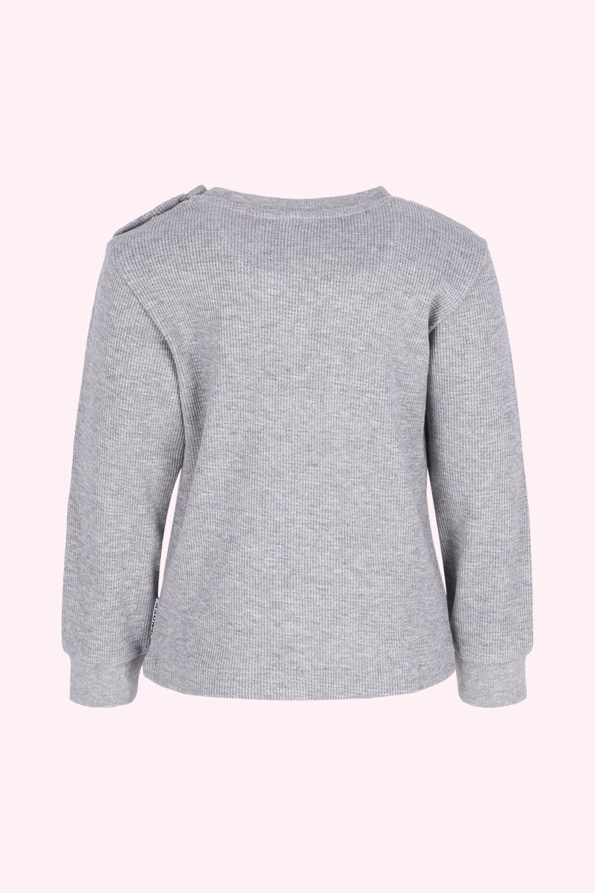 Mini Thomas Lange Mouwen Shirt Grijs melange