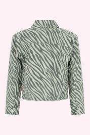 Brix Blouse Groen